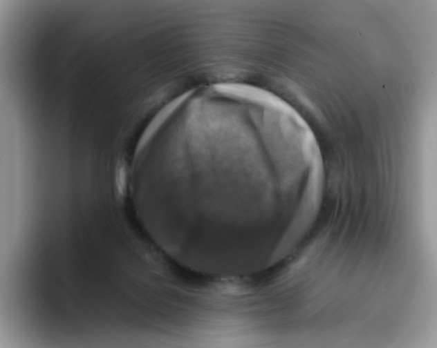 X0000093490076200711091652