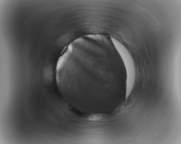 X0000093490080200711091652