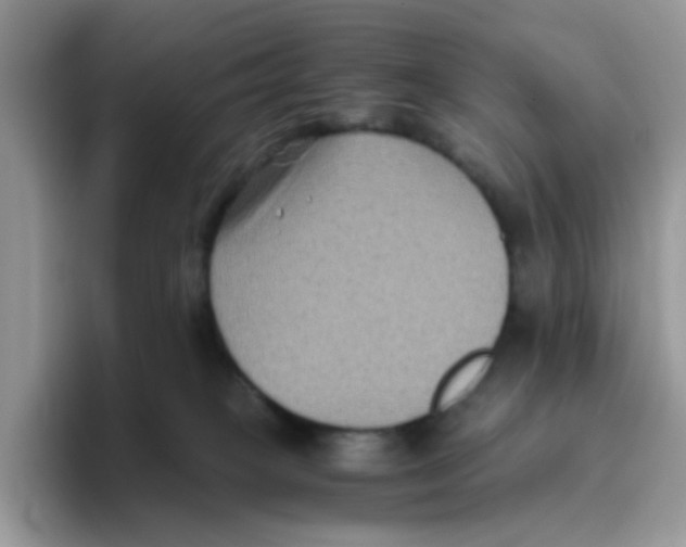 X0000093490085200711091652