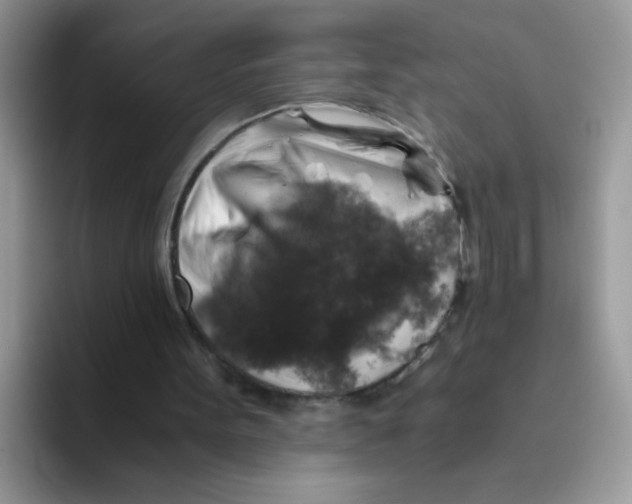 X0000093490099200711091652