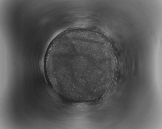 X0000093490100200711091652