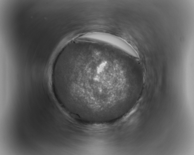 X0000093490101200711091652