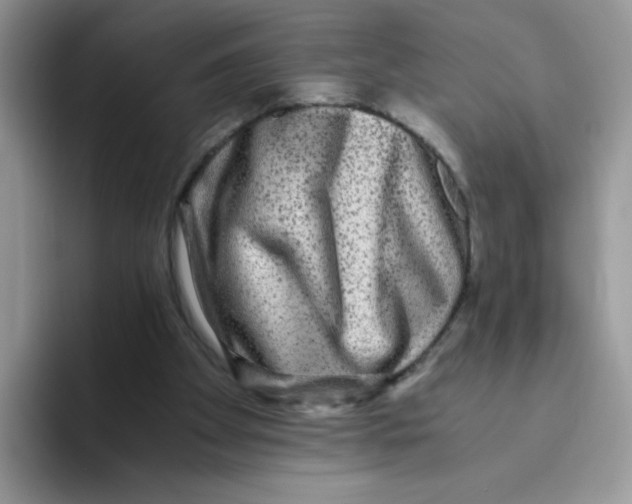 X0000093490105200711091652