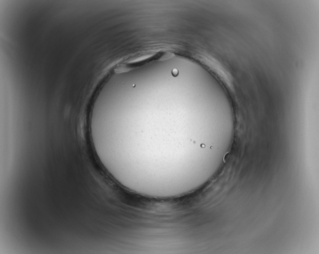 X0000093490107200711091652