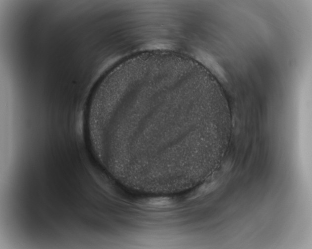 X0000093490108200711091652