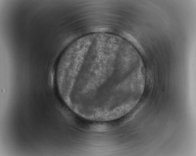 X0000093490110200711091652