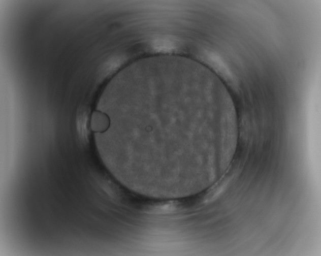 X0000093490116200711091652