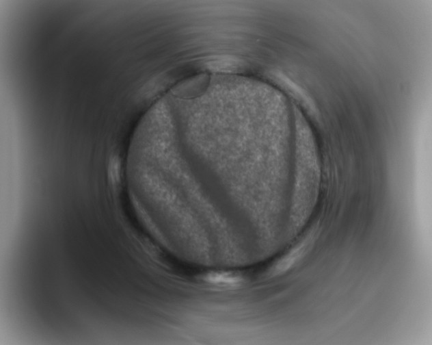 X0000093490117200711091652