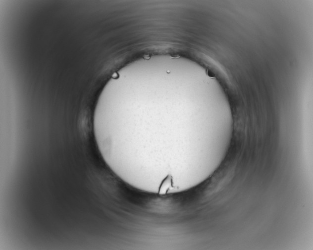 X0000093490119200711091652