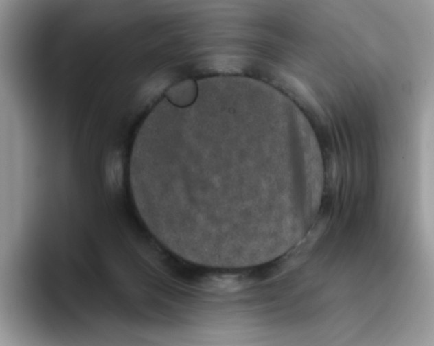 X0000093490120200711091652