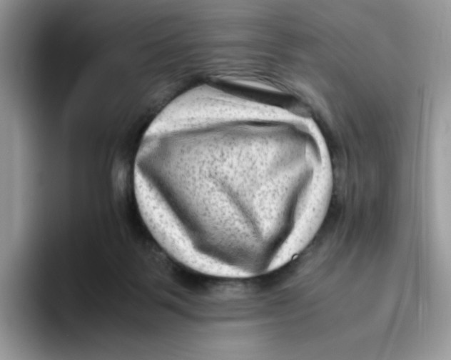 X0000093490123200711091651