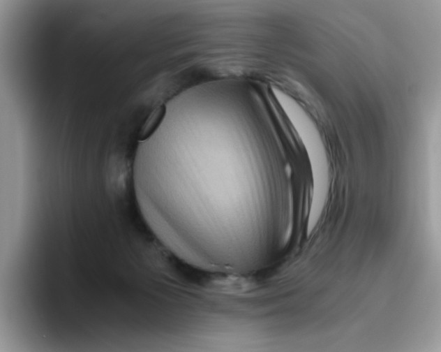 X0000093490125200711091651