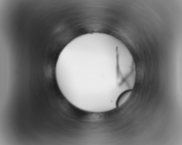 X0000093490126200711091651