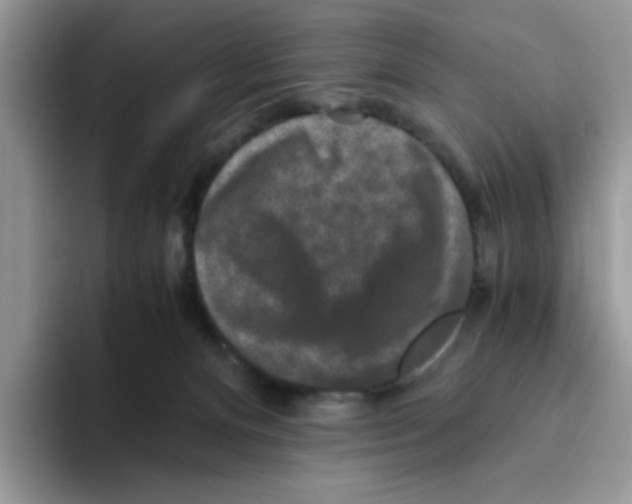 X0000093490128200711091651