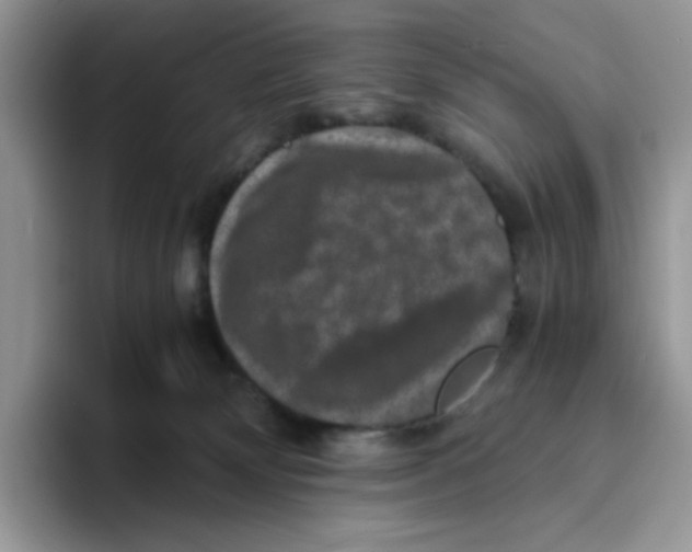 X0000093490132200711091651