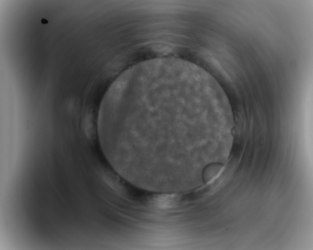 X0000093490136200711091651