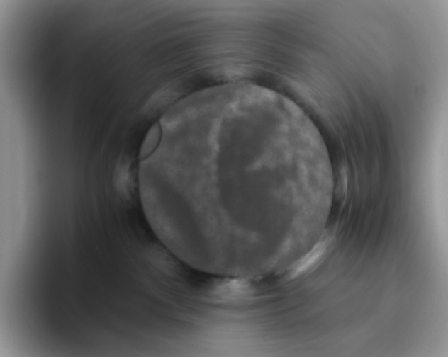 X0000093490140200711091651