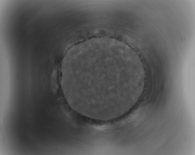 X0000093490144200711091651