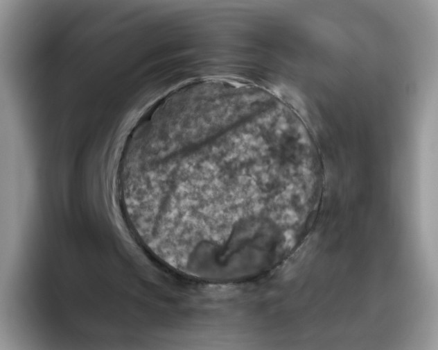 X0000093490145200711091651