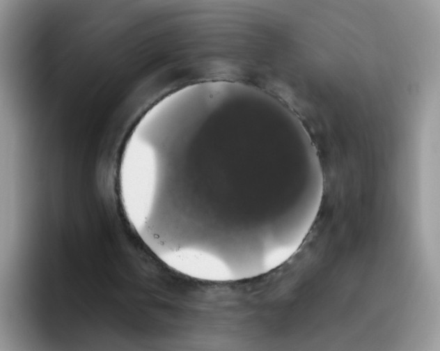 X0000093490146200711091651