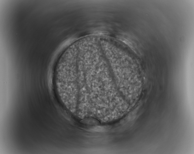 X0000093490149200711091651