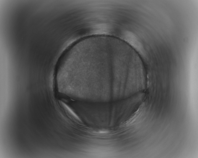 X0000093490156200711091651