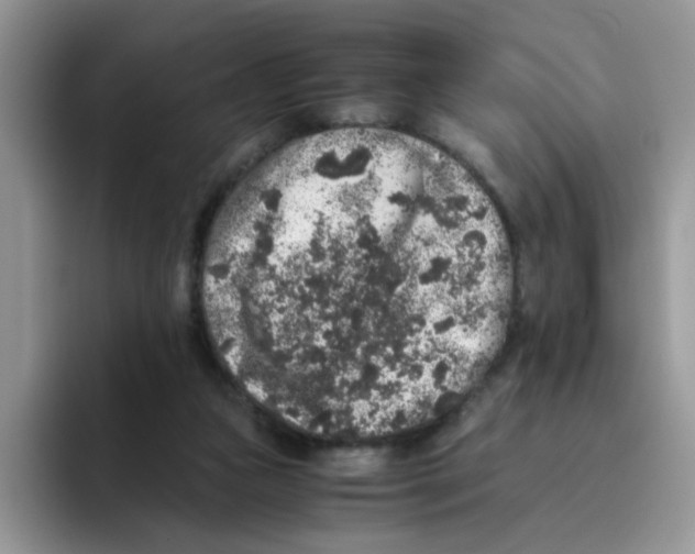 X0000093490161200711091651