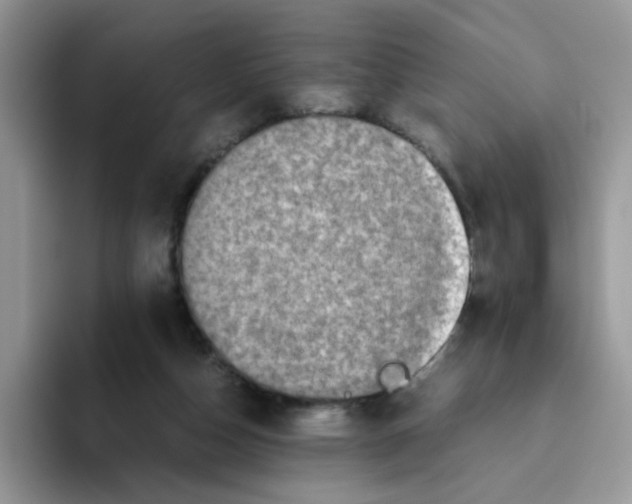 X0000093490162200711091651