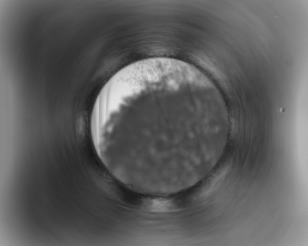 X0000093490165200711091651