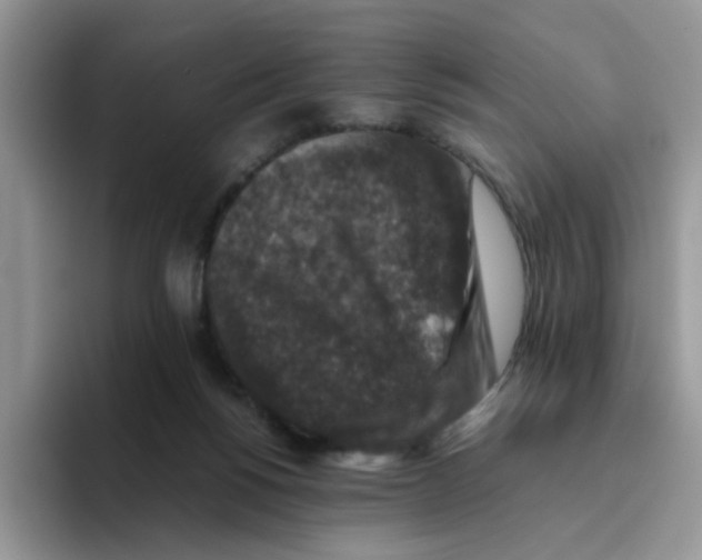 X0000093490168200711091651