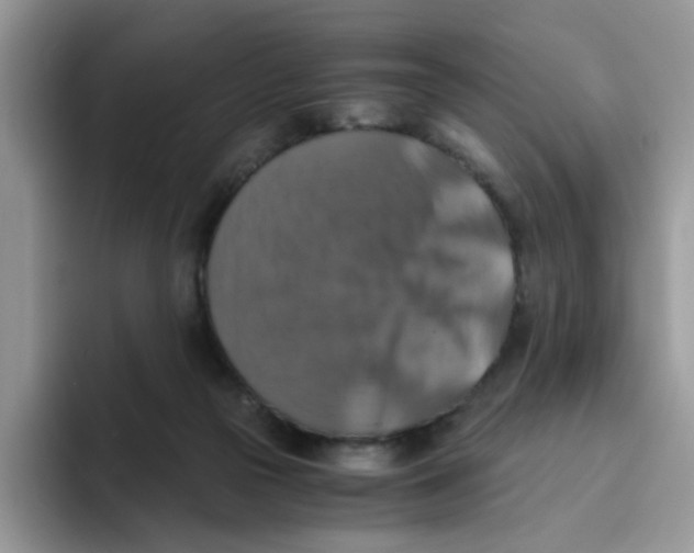 X0000093490169200711091651