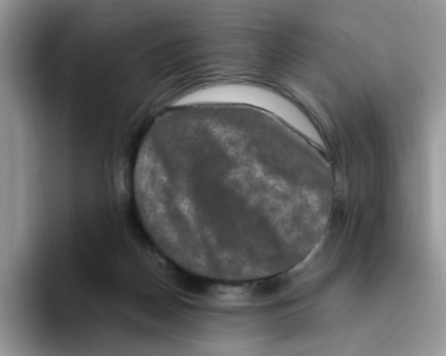 X0000093490170200711091651