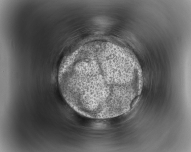 X0000093490175200711091651