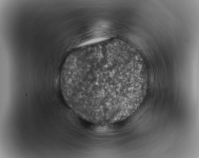 X0000093490177200711091651