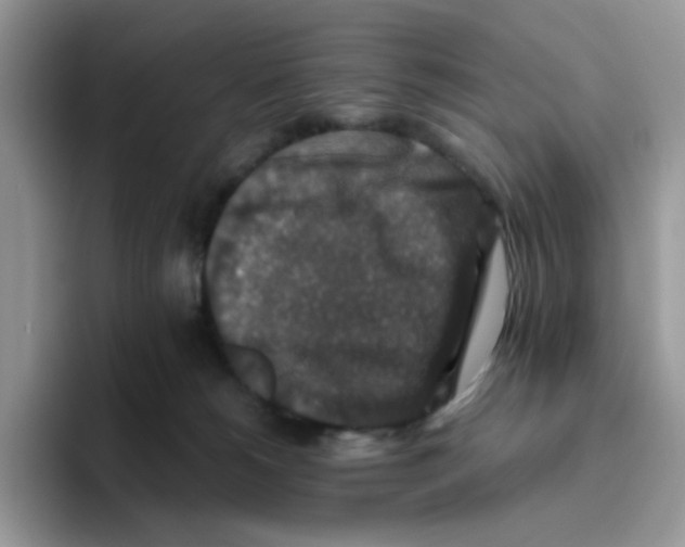 X0000093490180200711091651