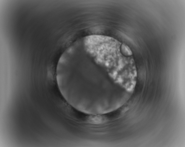 X0000093490181200711091651