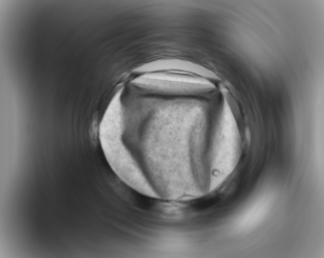 X0000093490190200711091651