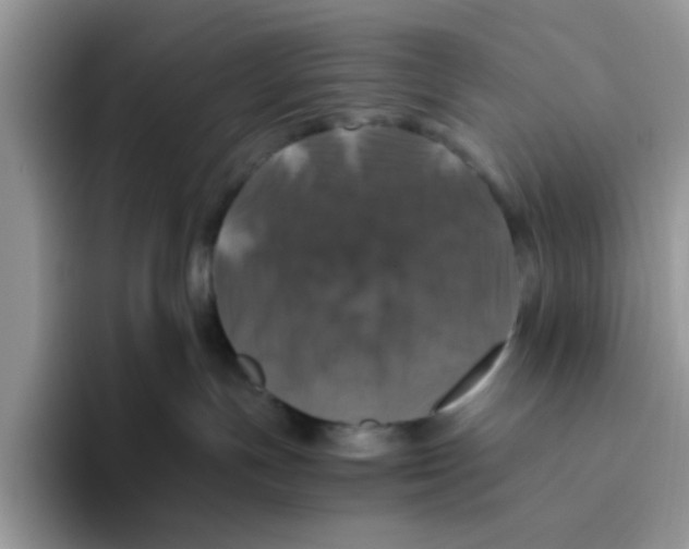 X0000093490191200711091651