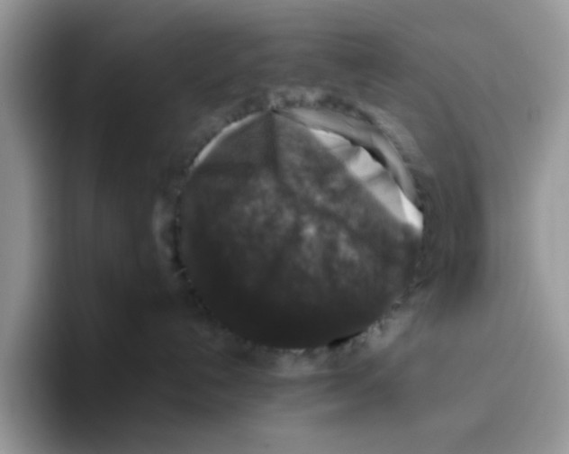 X0000093490192200711091651