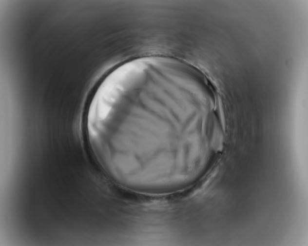 X0000093490196200711091651