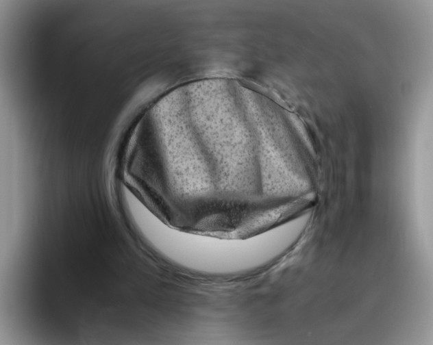 X0000093490197200711091651