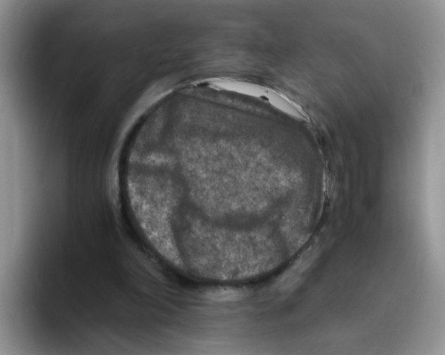 X0000093490198200711091651