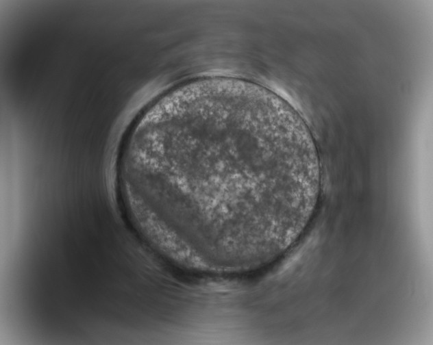 X0000093490199200711091651