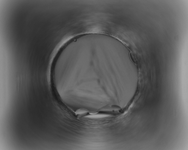 X0000093490200200711091651