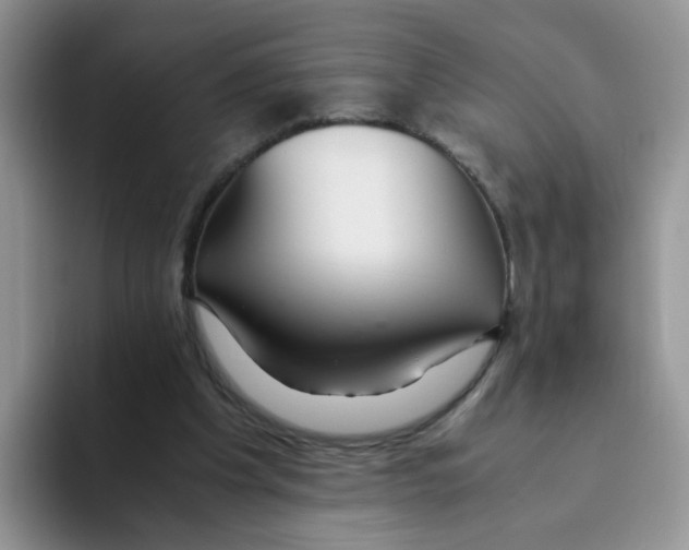 X0000093490201200711091651