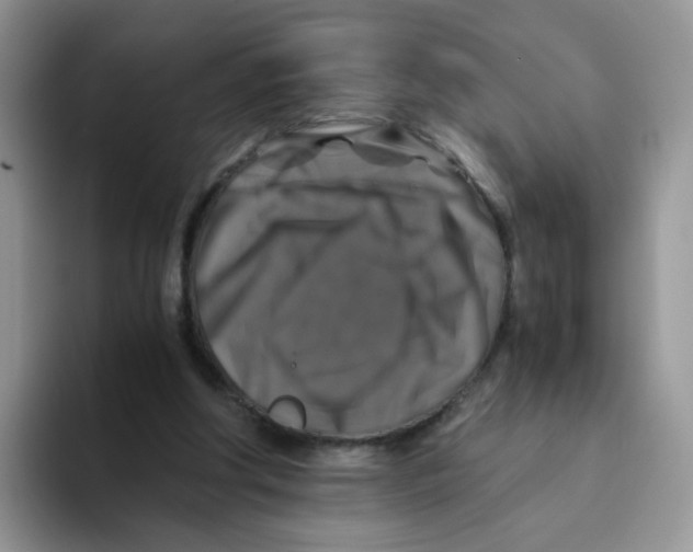 X0000093490202200711091651