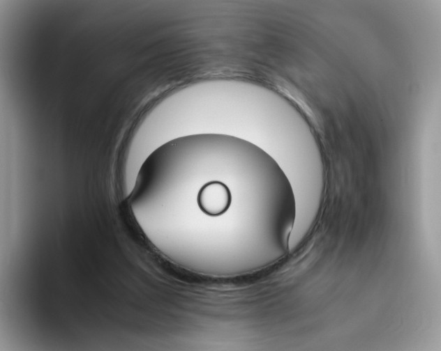 X0000093490203200711091651