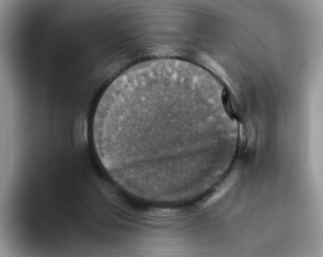 X0000093490205200711091651