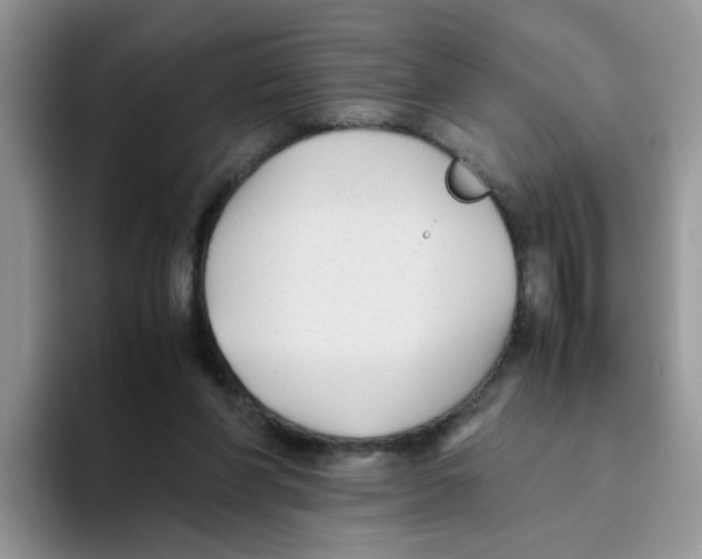 X0000093490206200711091651