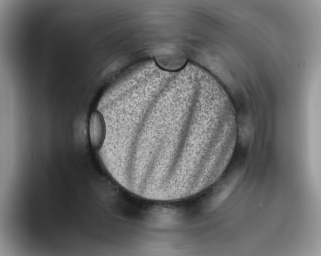 X0000093490207200711091651